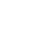 noavari white logo